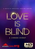Love Is Blind Temporada 1 [720p]